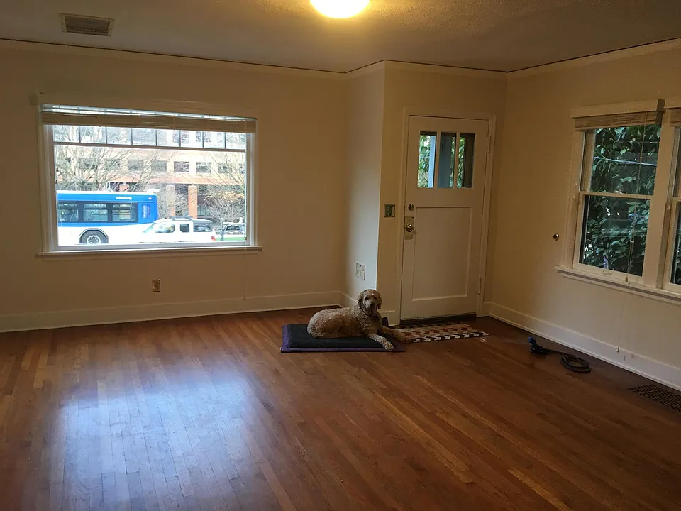 Living room (the dog is NOT included)