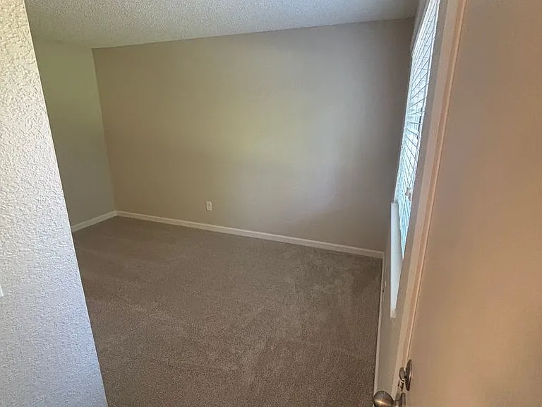 Olive Glen — Photo 5