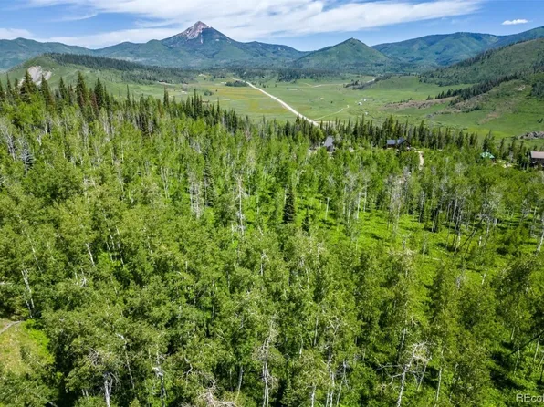 26770 Willow Gulch Dr, Clark, CO 80428