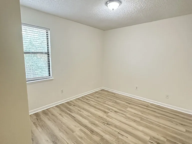 4790 Cinnamon Fern Dr — Photo 4