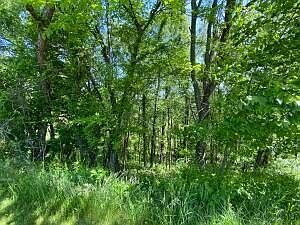 4th image of 405 Bryn Du Dr