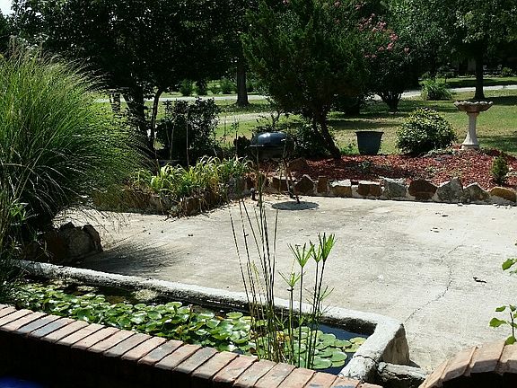 fish pond/court yard