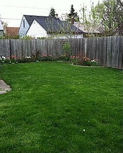 1619 Camden Ave, Ferndale, MI, 48220