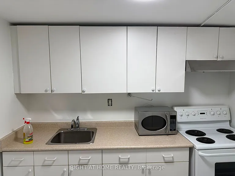 259 Tall Grass Trl #BASEMENT — Photo 13