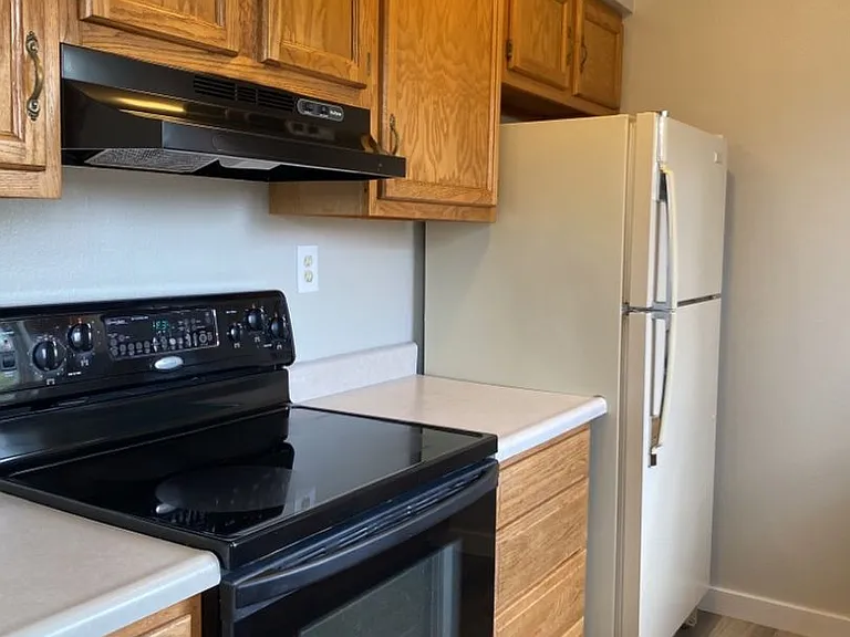 451 Mulberry Dr — Photo 11