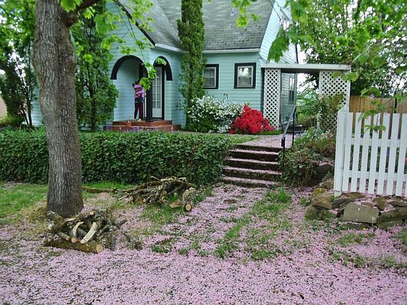 Front of house