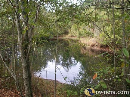 Fish pond and wildlife refuge