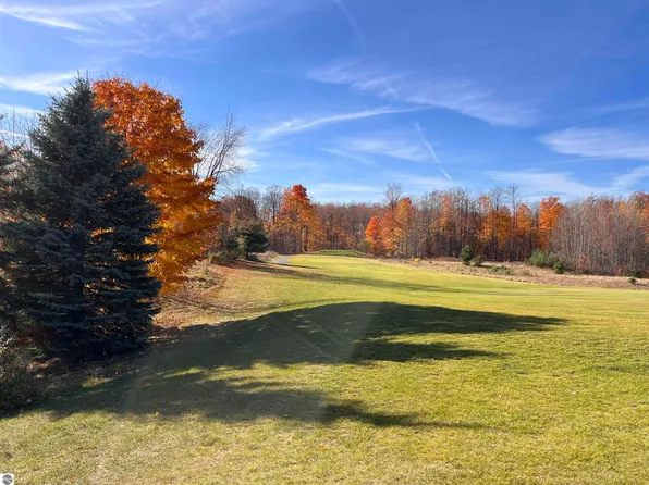 Raptor Run Lot 202, Bellaire, MI 49615