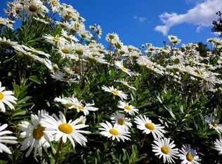 153 Tuttle Rd, Woodbury, CT 06798