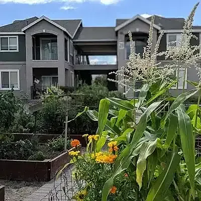 Sky Vista Commons North — Photo 14