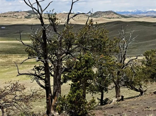 5250 Uxta Trl, Hartsel, CO 80449