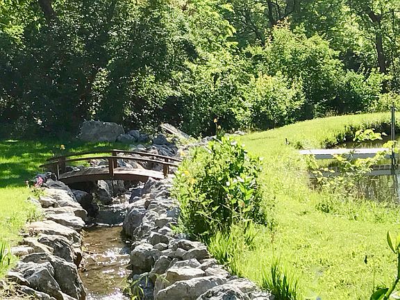 Boulder-lined Stream