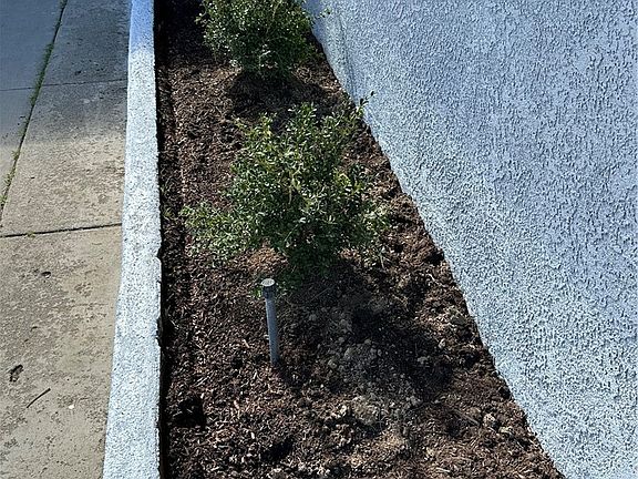 4th image of 1380 Indian Sage Rd