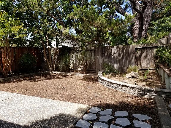 Peaceful back yard and patio