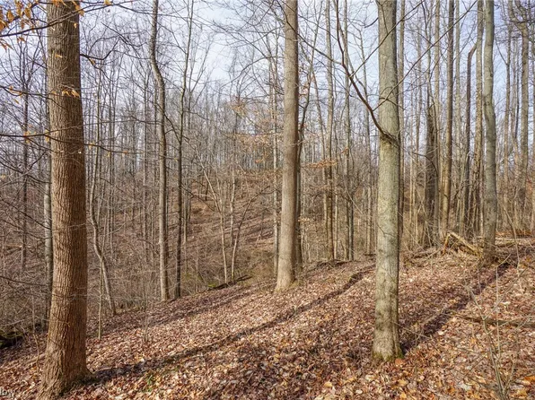 2 Wilbur Bush Rd NW, Crooksville, OH 43731