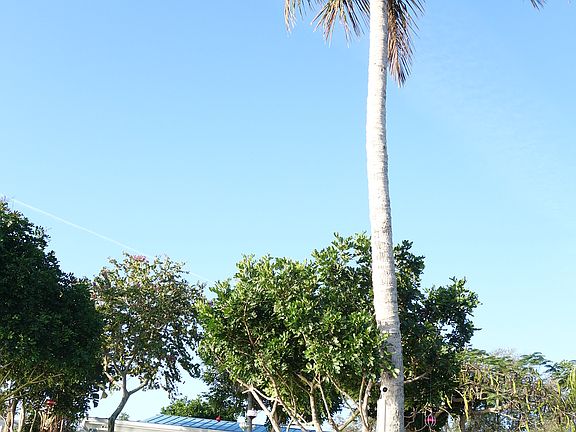 3380 Coquina Key