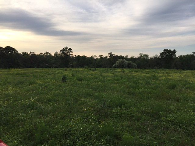 1st image of 3768 Highway 53