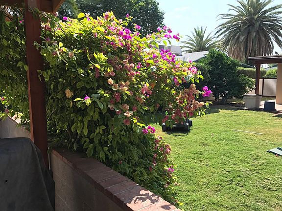 Carport looking toward home
