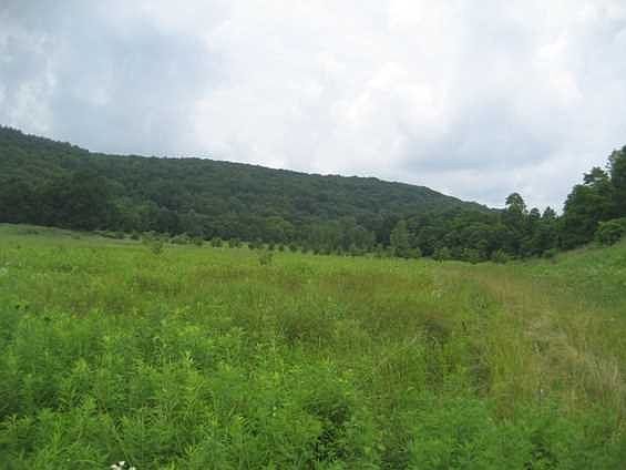 2nd image of Overbrook Dr