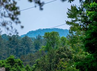 266AC Pine Ln, Mineral Bluff, GA 30559