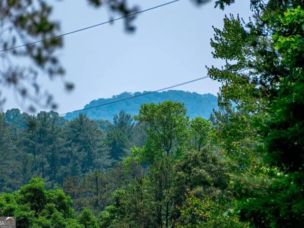 266AC Pine Ln, Mineral Bluff, GA 30559