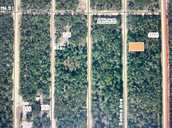 0C Selma Ave, Interlachen, FL 32148