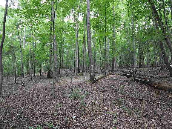 5th image of LOT 4 Coker Ln Lot 4