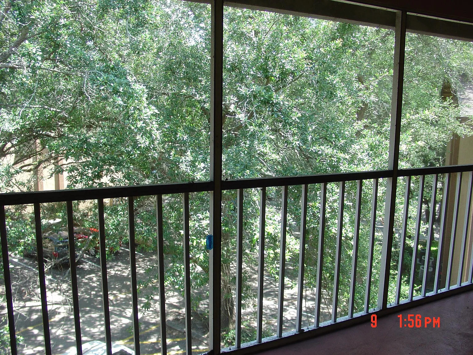 1 bed, 770 sqft, $1,295 — Photo 4