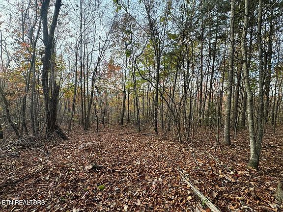 3rd image of Three Point Rd #3-004.03