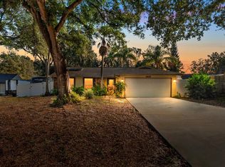 1419 Shadow Bay Ln, Brandon, FL 33510
