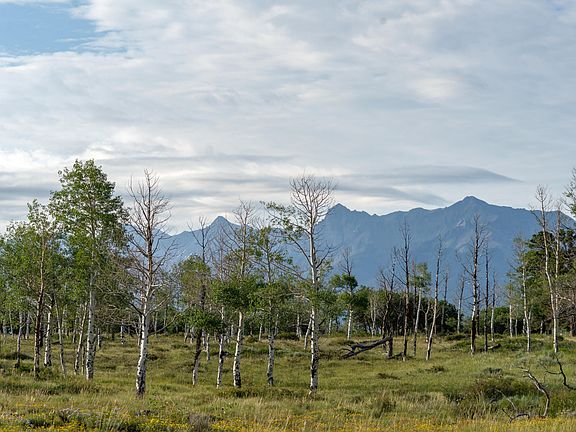 5th image of Tbd Panorama Ln