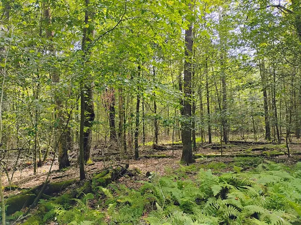 0 Toby Dr, Leeper, PA 16233