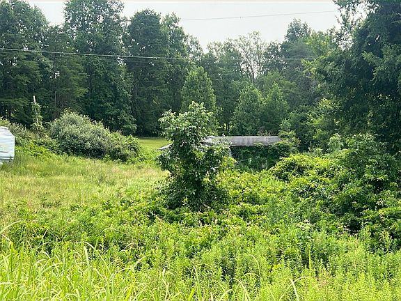 2nd image of 24714 Brimstone Rd