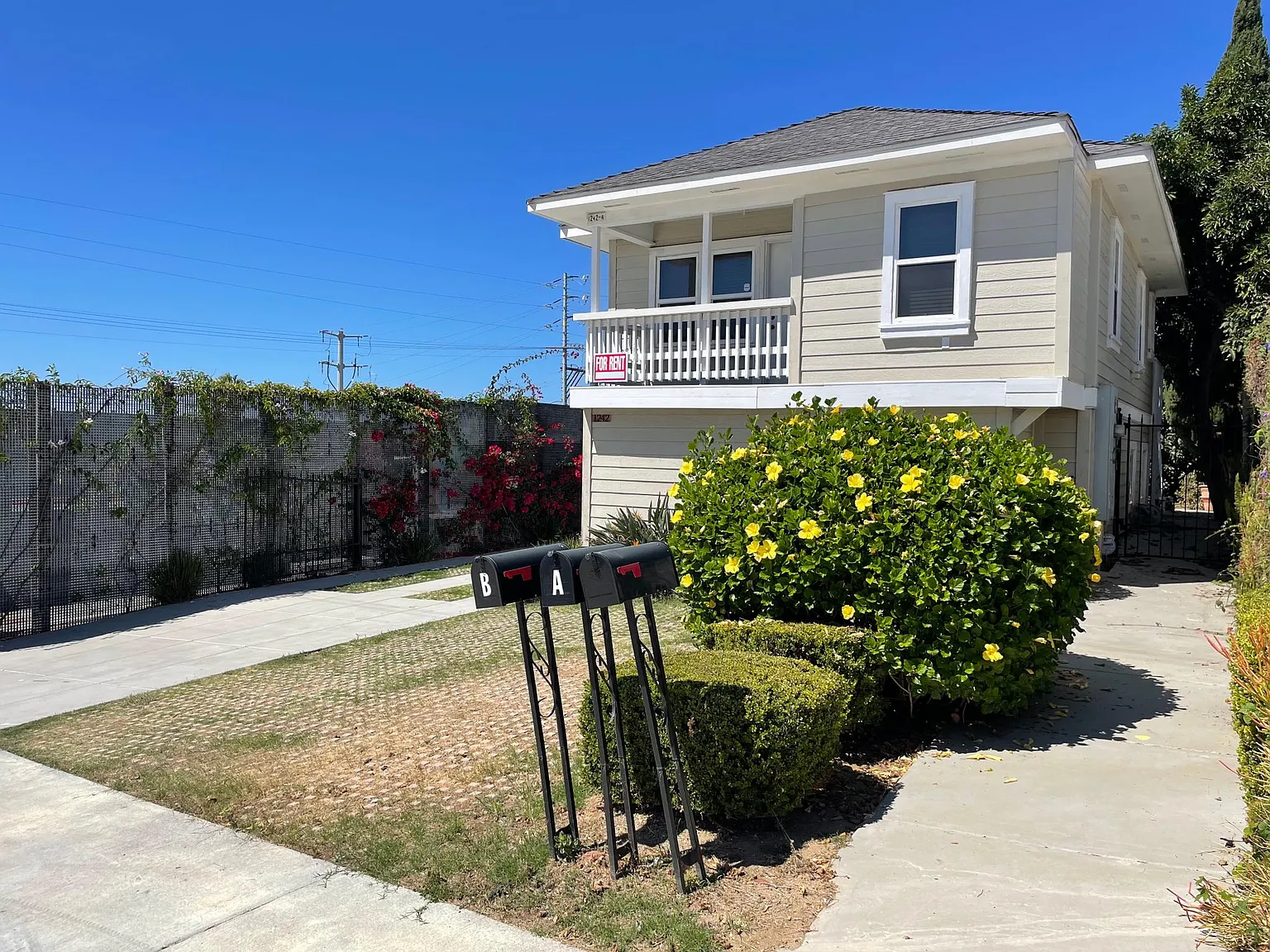 1242 W Olive St — Photo 4