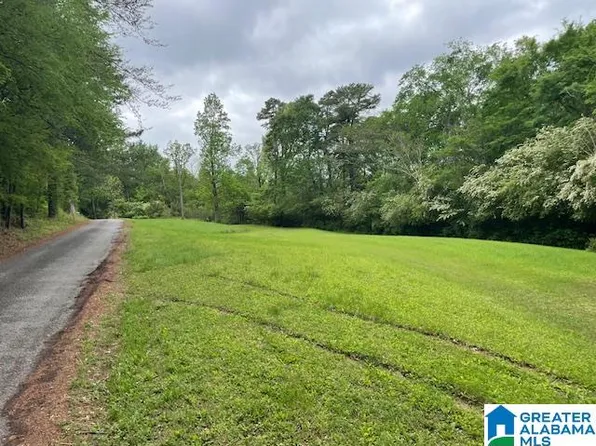 416 V C Ln #0, Oneonta, AL 35121
