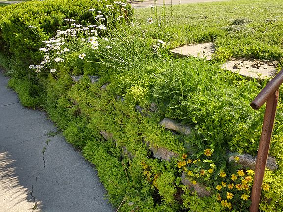 Rock wall next to driveway