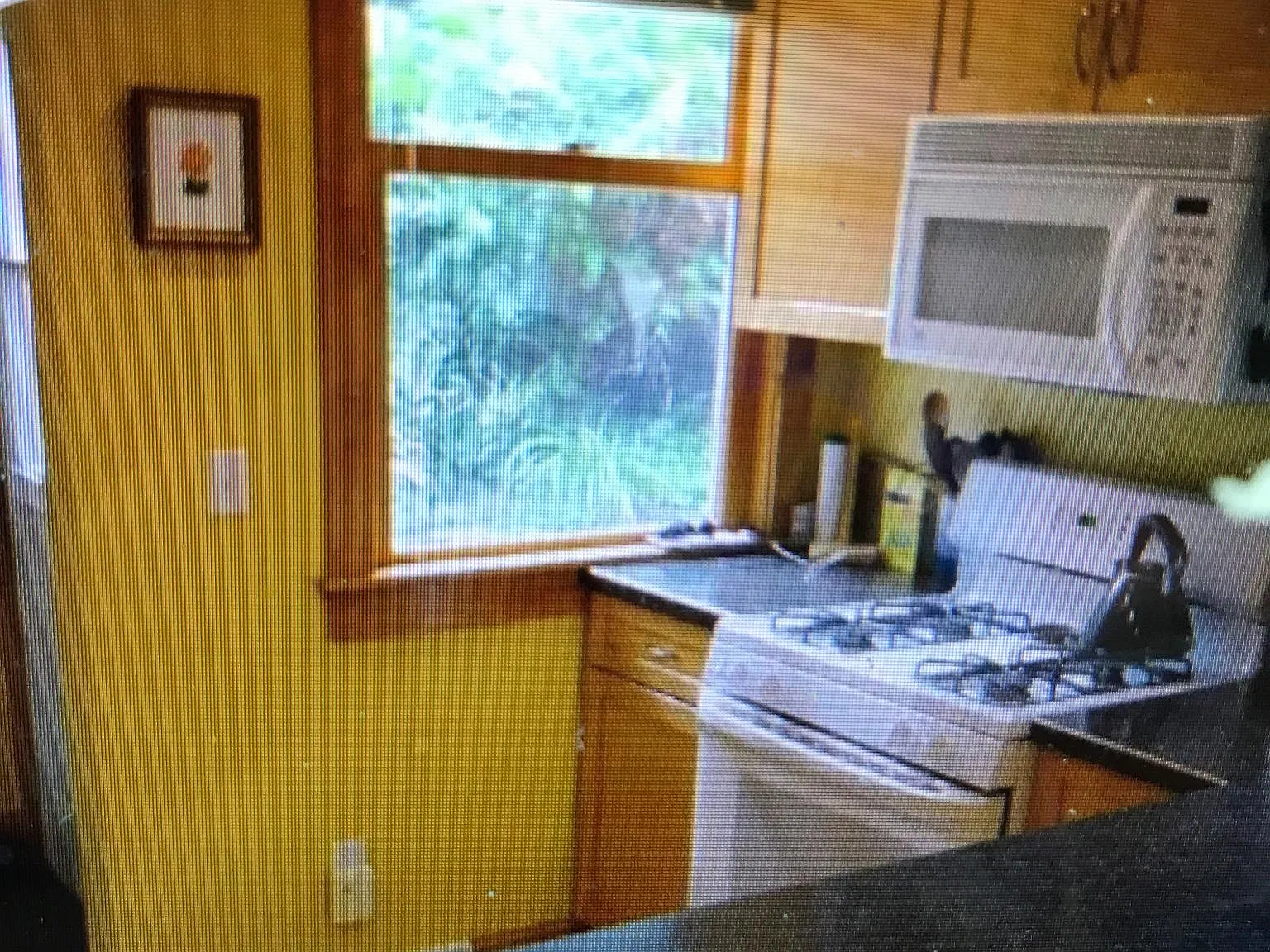 4 bed, 1993 sqft, $3,900 — Photo 3