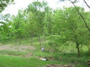 260 Sunny Brook Dr, Branson, MO 65616