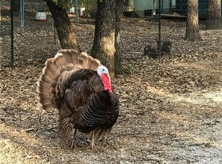 765 Ford Rd, Bowie, TX 76230