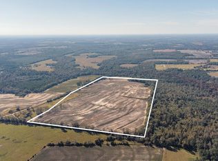 0 Paul Lamp Rd, Pansey, AL 36370