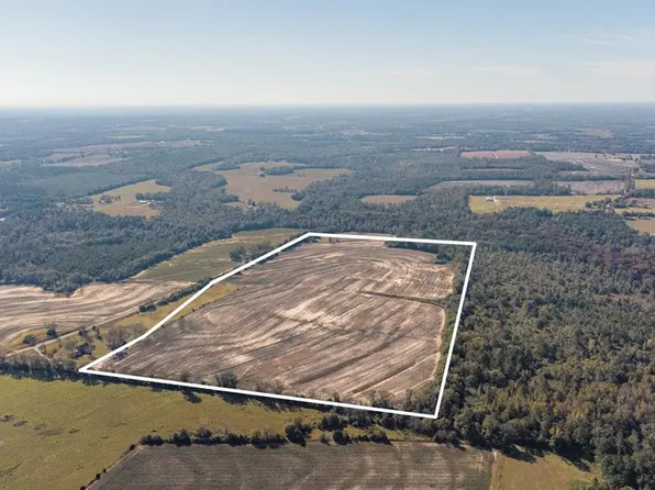 0 Paul Lamp Rd, Pansey, AL 36370