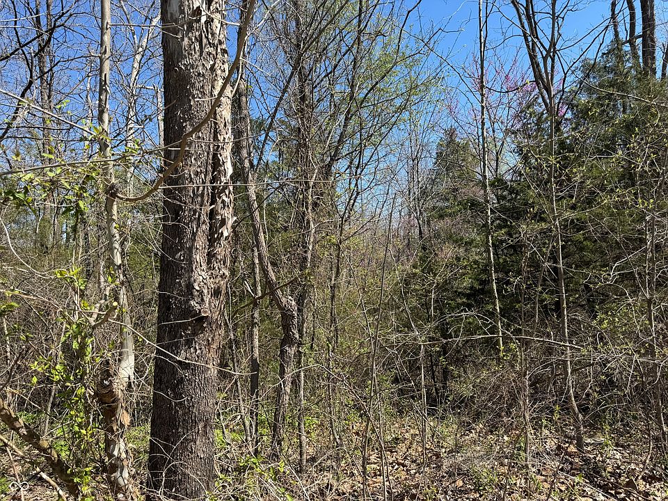 1st image of LOT B 21 State Highway Hwy #46