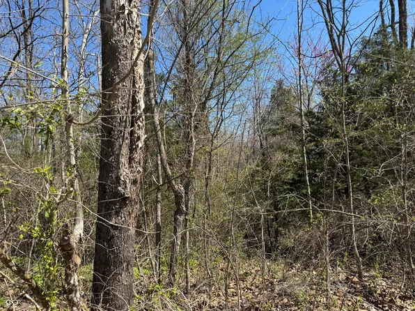 LOT B 21 State Highway Hwy #46, Spencer, IN 47460