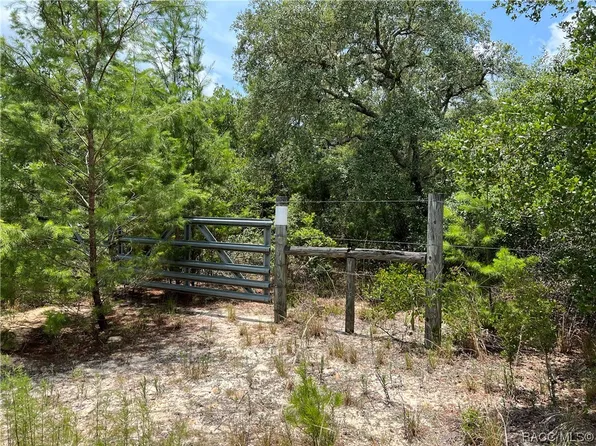 0 NE 160th Ave, Fort Mc Coy, FL 32134