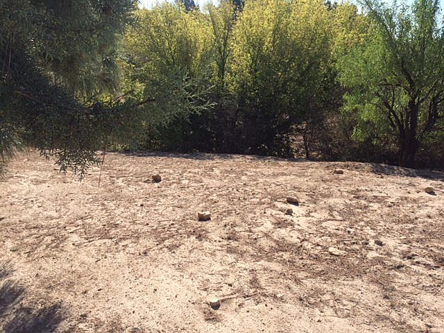 2nd image of Gumtree Dr