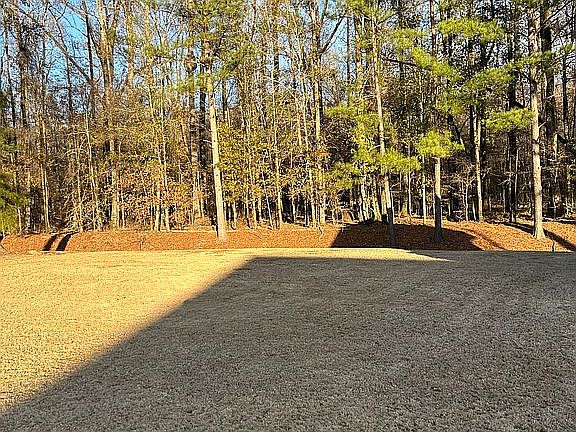 View from back porch