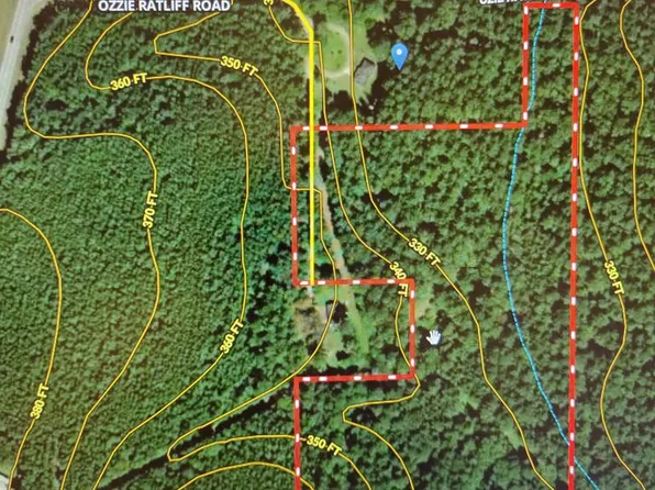 0 Ozie Ratliff Rd, Tylertown, MS 39667