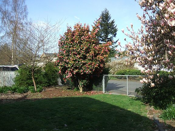 Back yard view north