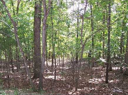 1st image of Dogwood Dr