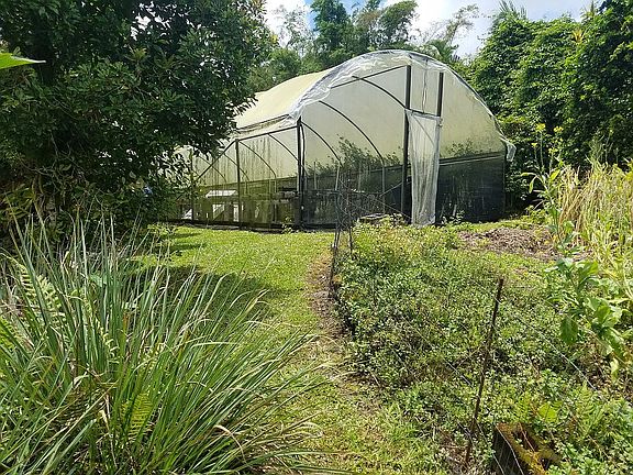 1 of 2 Large green houses
